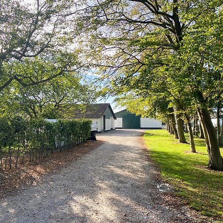 Country Guesthouse Gadstrup Exteriér fotografie